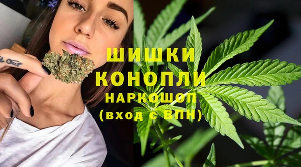 наркотики Белокуриха