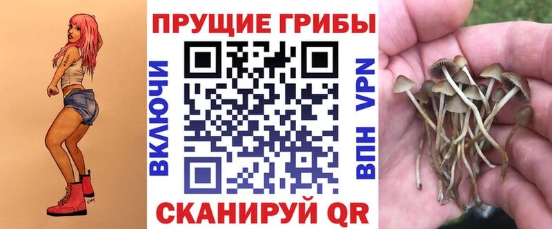 Псилоцибиновые грибы Psilocybine cubensis Можга